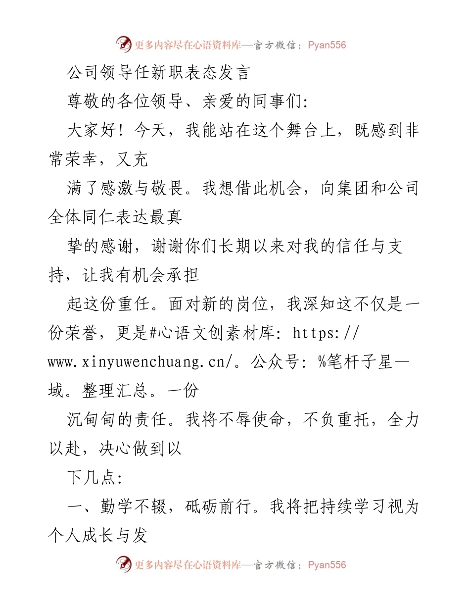 [发言] 新任职表态 - 新岗位上的承诺与展望.docx_第1页