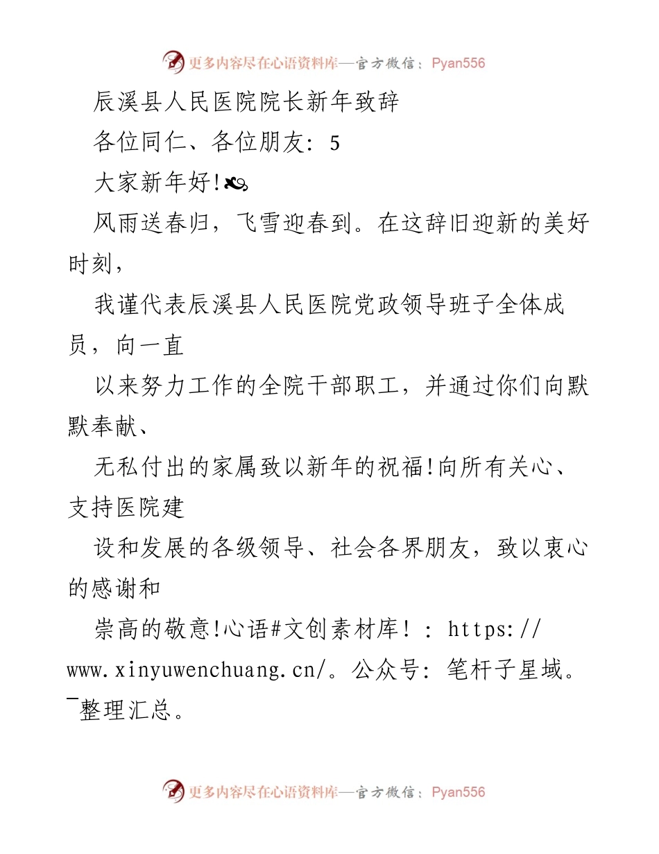 [发言] 新年致辞 - 辰溪县人民医院院长的新年祝福与展望.docx_第1页