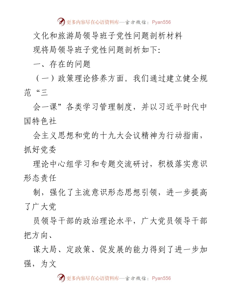 [发言] 文化和旅游局领导班子会议 - 党性问题剖析与作风建设建议.docx_第1页