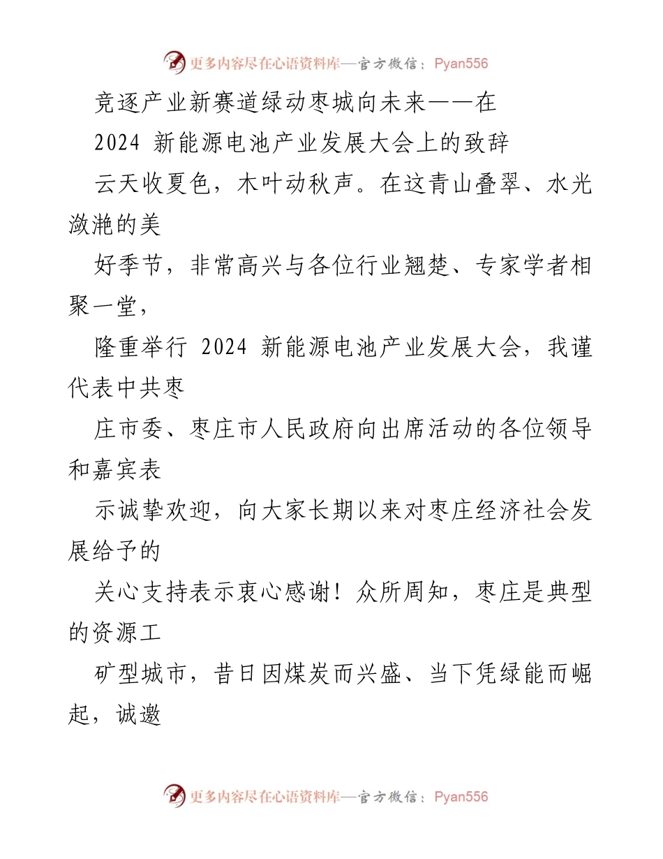 [发言] 新能源电池产业发展大会 - 竞逐产业新赛道，绿动枣城向未来.docx_第1页