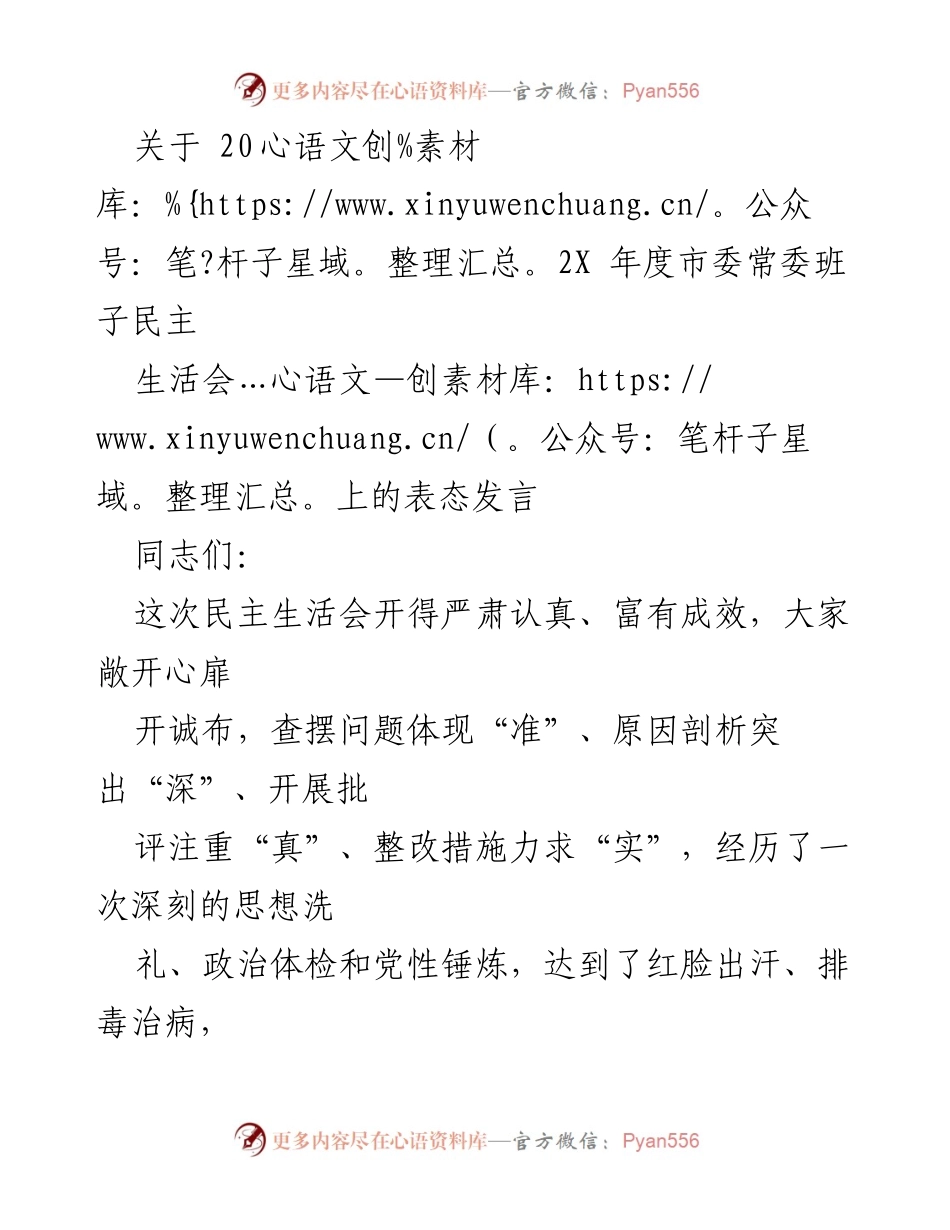 [发言] 民主生活会 - 市委常委班子表态发言总结.docx_第1页