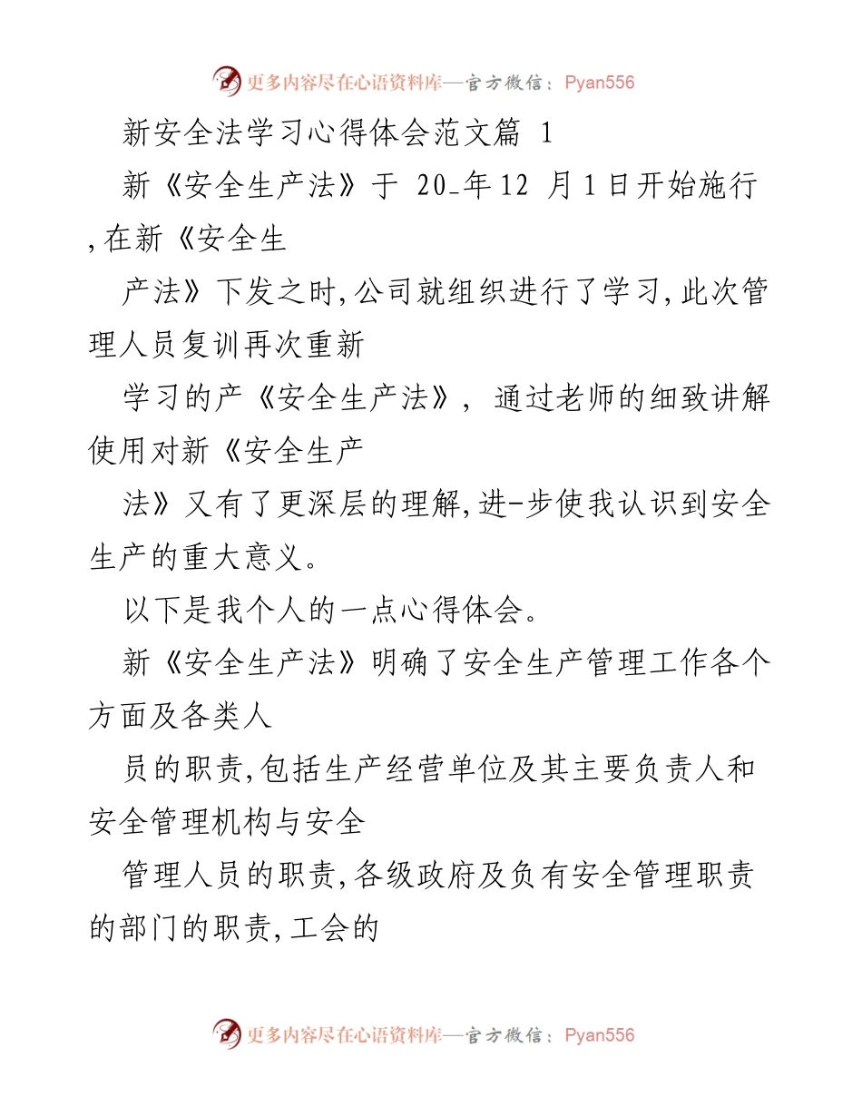 [发言] 新《安全生产法》学习会 - 深入理解新《安全生产法》的重要性与实施要点.docx_第1页