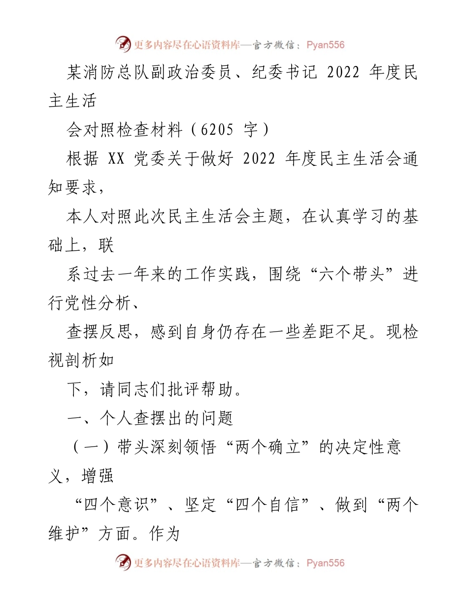 [发言] 民主生活会 - 2022年度民主生活会对照检查材料剖析.docx_第1页