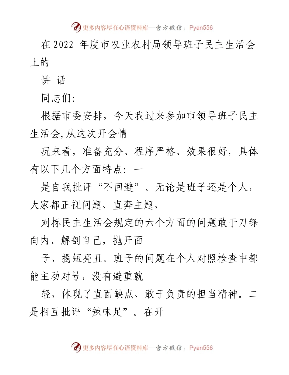 [发言] 民主生活会 - 市农业农村局领导班子民主生活会发言总结.docx_第1页