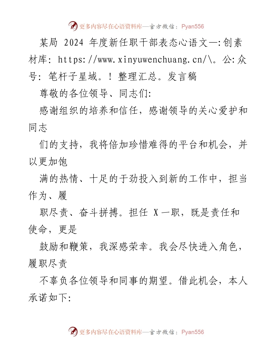 [发言] 新任职干部表态 - 新任职干部的责任与承诺.docx_第1页