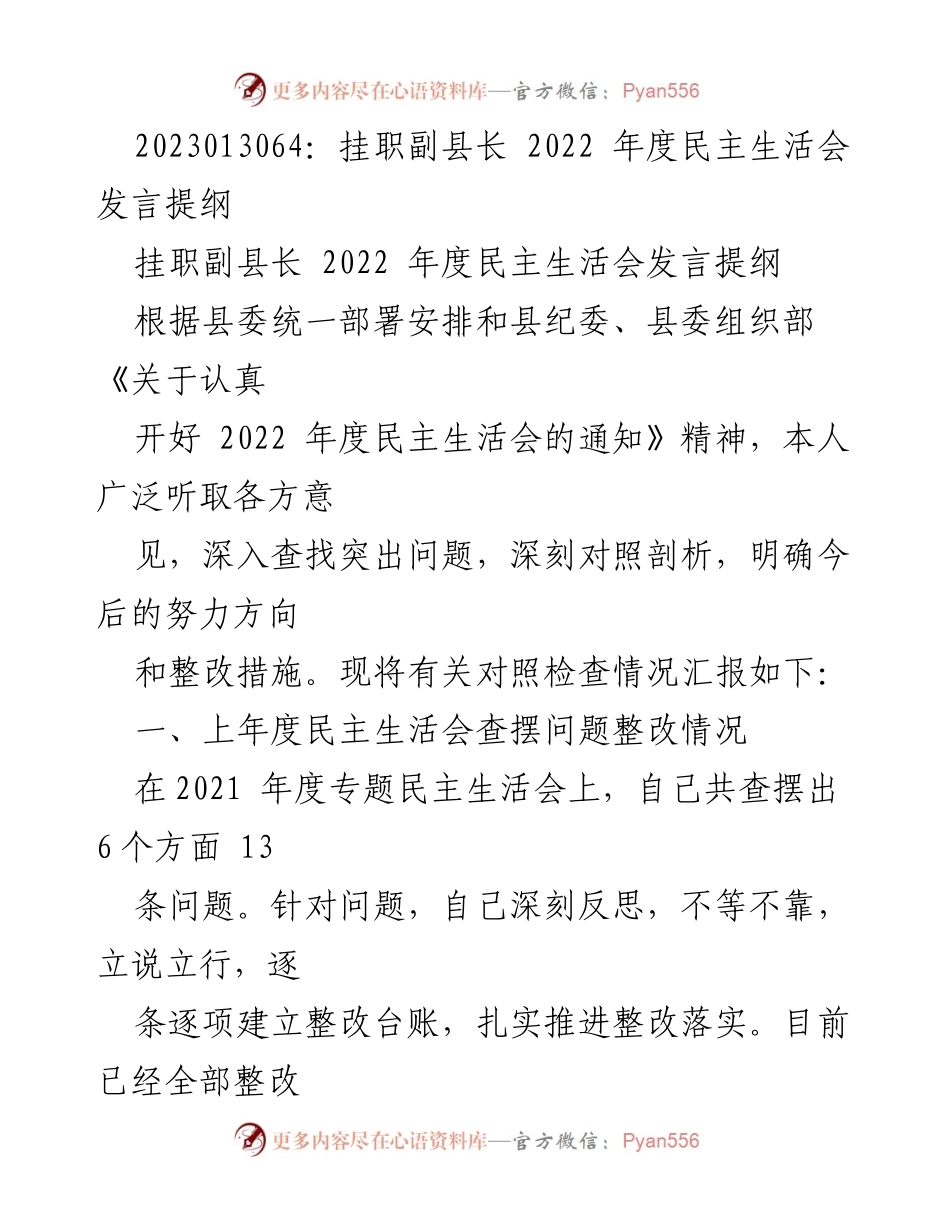 [发言] 民主生活会 - 挂职副县长2022年度民主生活会发言提纲.docx_第1页