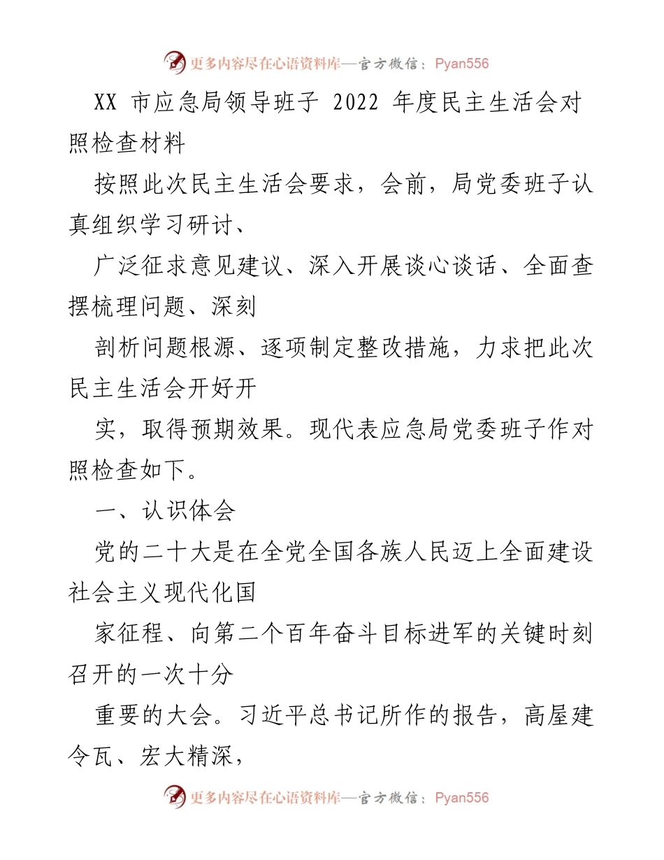 [发言] 民主生活会 - XX市应急局领导班子2022年度民主生活会对照检查总结.docx_第1页