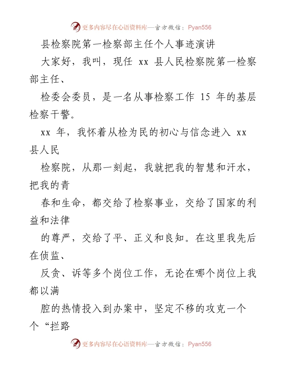 [发言] 检察工作分享会 - 坚守初心，勇担责任：我的检察事业之路.docx_第1页
