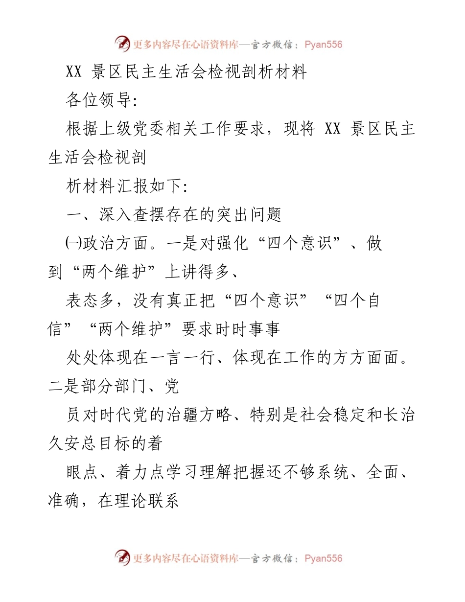 [发言] 景区民主生活会 - XX景区民主生活会问题检视与剖析.docx_第1页