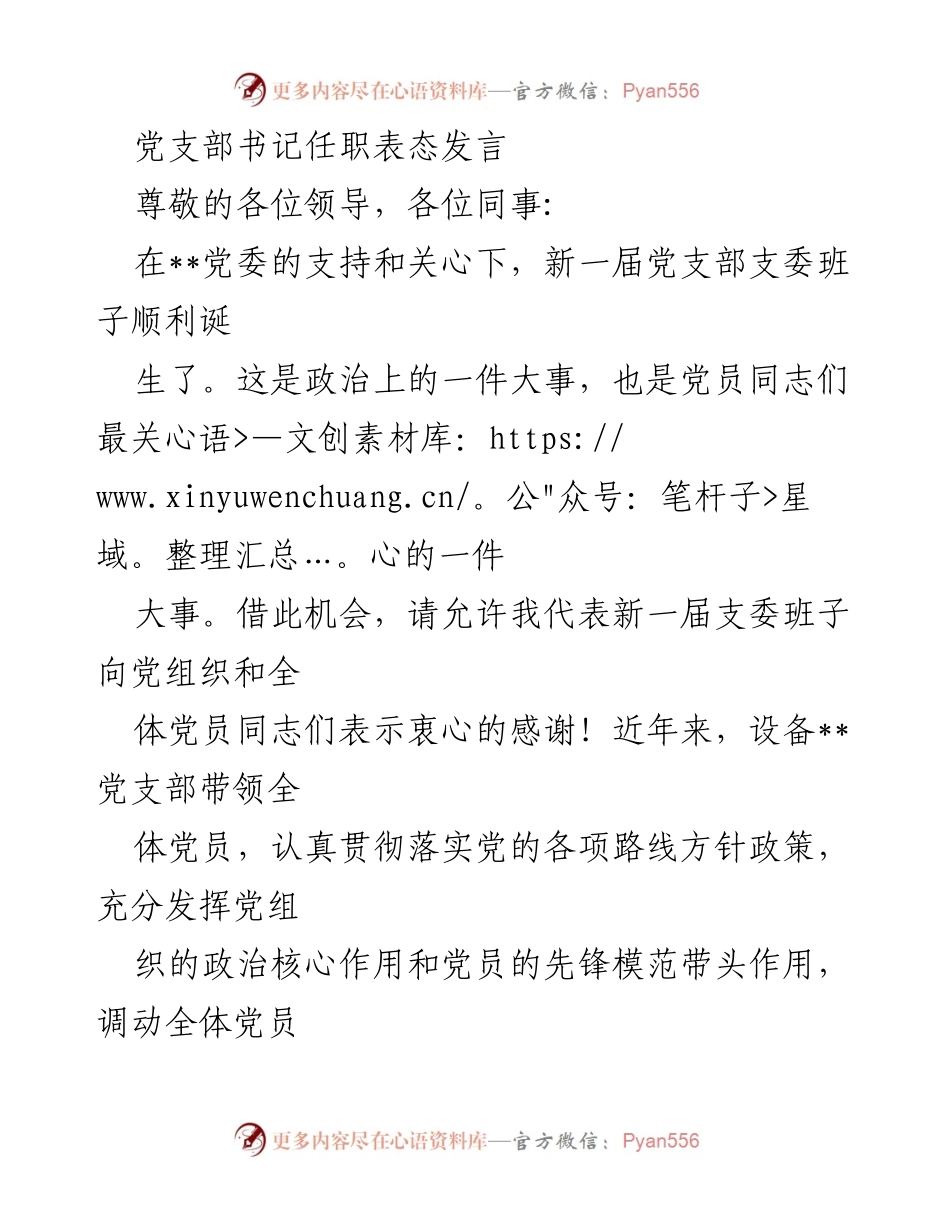 [发言] 新任党支部书记就职仪式 - 新任党支部书记表态发言.docx_第1页