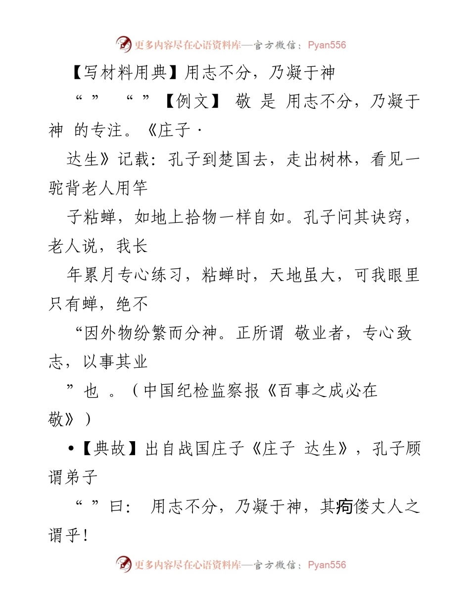 [发言] 教育培训 - 强调专业精神与持之以恒的追求.docx_第1页