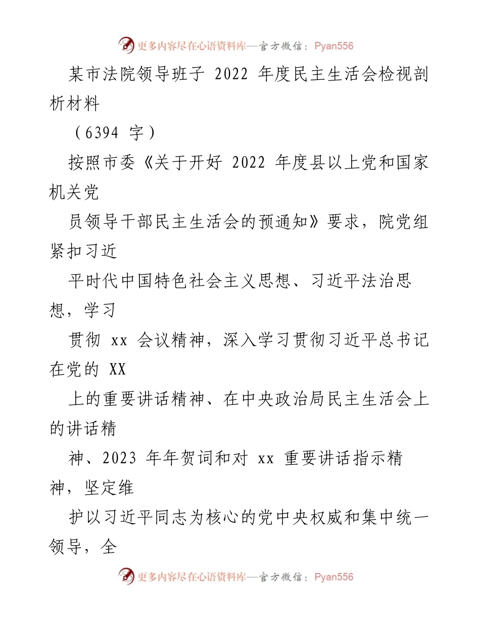 [发言] 民主生活会 - 某市法院2022年度民主生活会检视剖析报告.docx_第1页