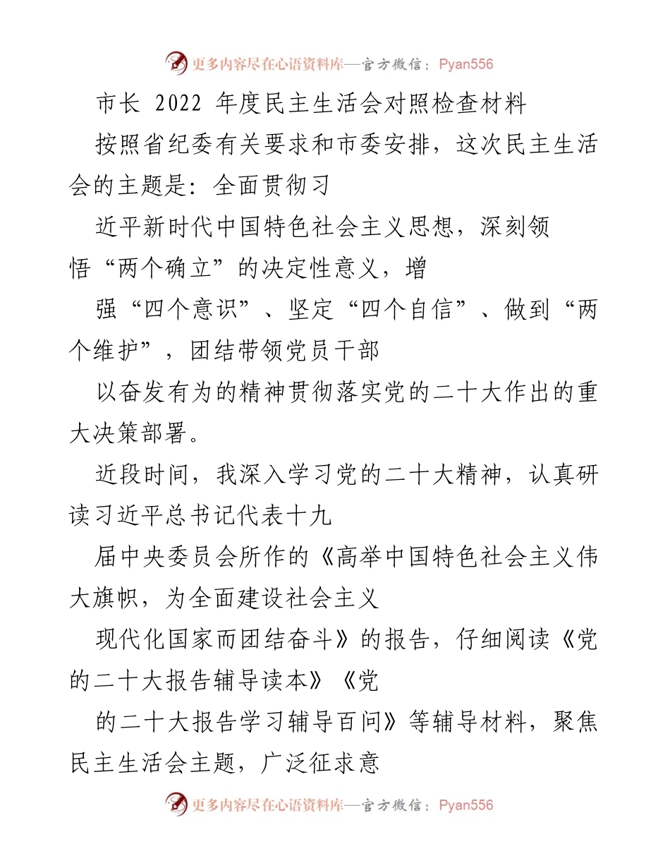 [发言] 民主生活会 - 市长2022年度民主生活会对照检查发言材料.docx_第1页