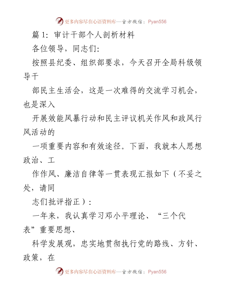 [发言] 民主生活会 - 审计干部个人剖析与工作总结.docx_第1页