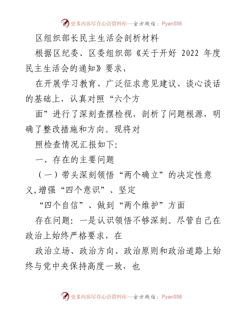 [发言] 民主生活会 - 区组织部长民主生活会问题剖析与整改措施.docx_第1页