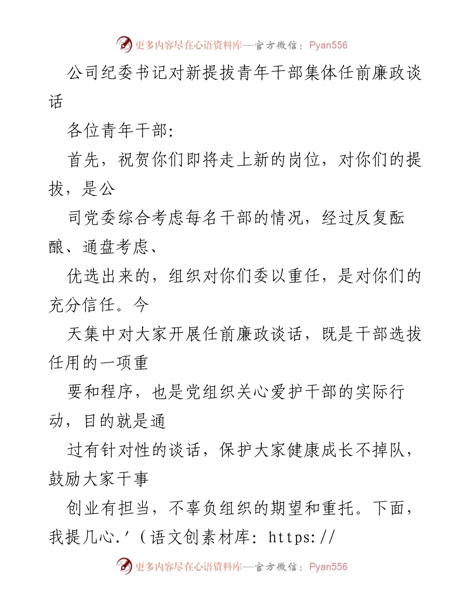 [发言] 新任青年干部任前谈话 - 牢记使命，勇担重任：新任青年干部廉政谈话要点.docx_第1页