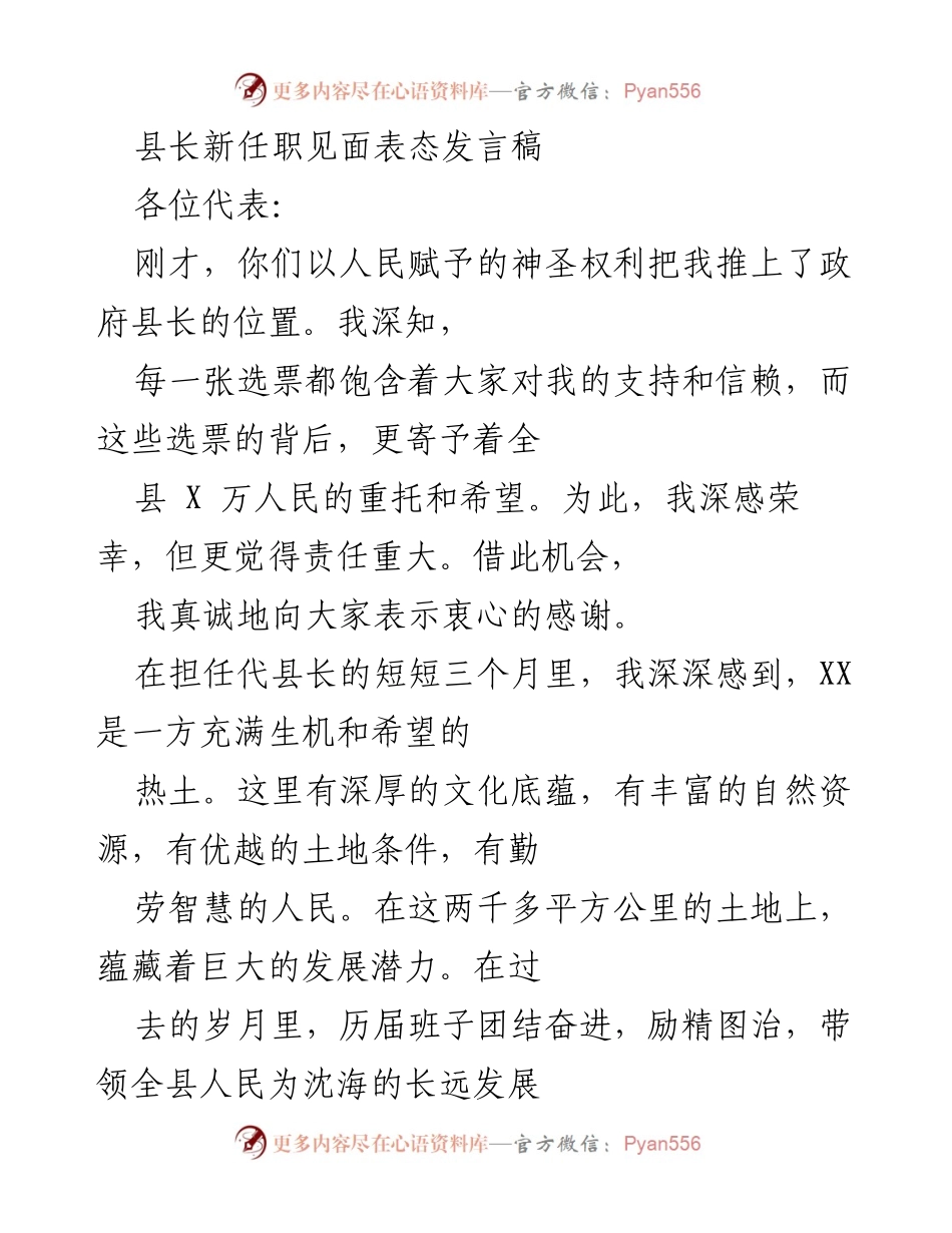 [发言] 新任县长就职 - 新任县长表态发言：承诺实干推动XX发展.docx_第1页