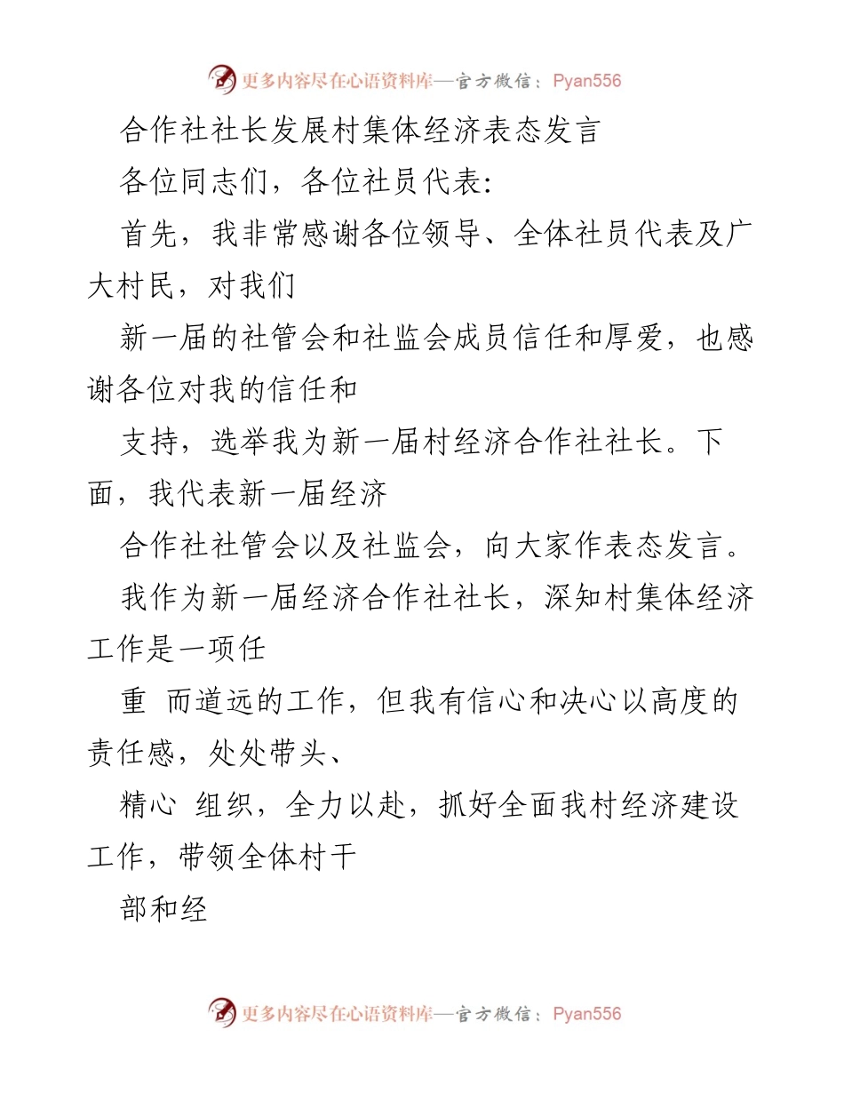 [发言] 村经济合作社成立大会 - 新任社长表态发言：推动村集体经济发展.docx_第1页