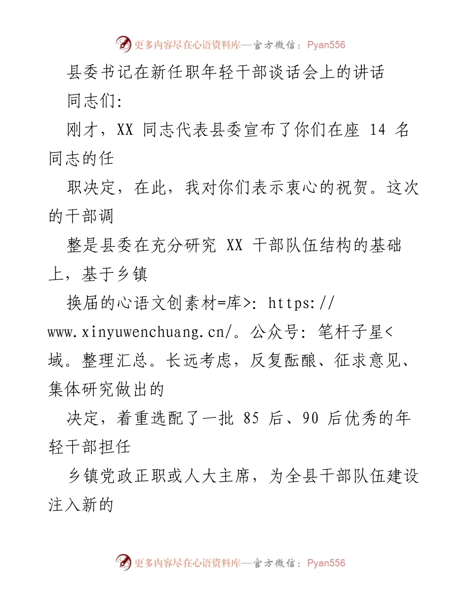 [发言] 新任职年轻干部谈话会 - 年轻干部的使命与责任.docx_第1页