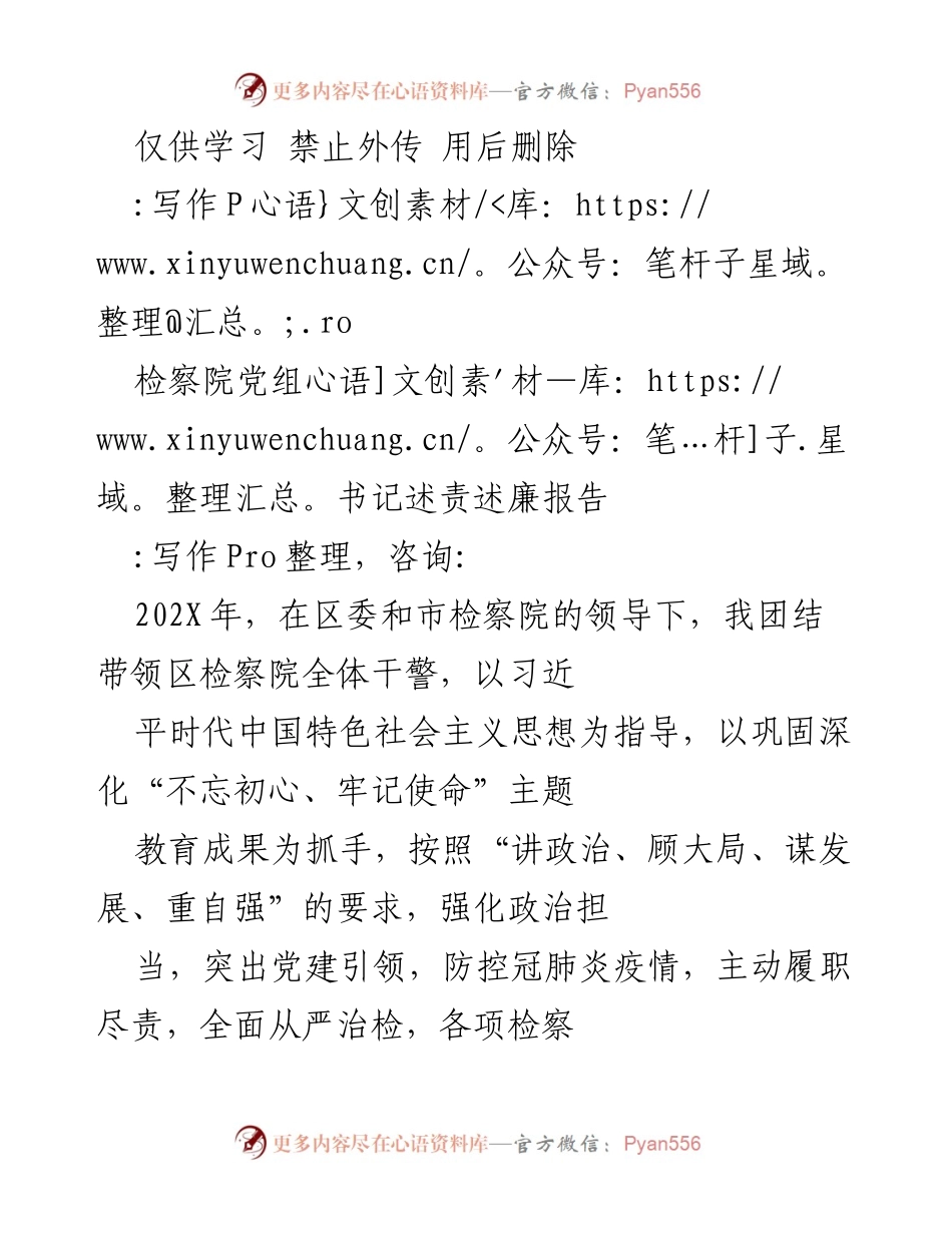 [发言] 检察院工作总结 - 检察院党组书记年度述责述廉报告.docx_第1页