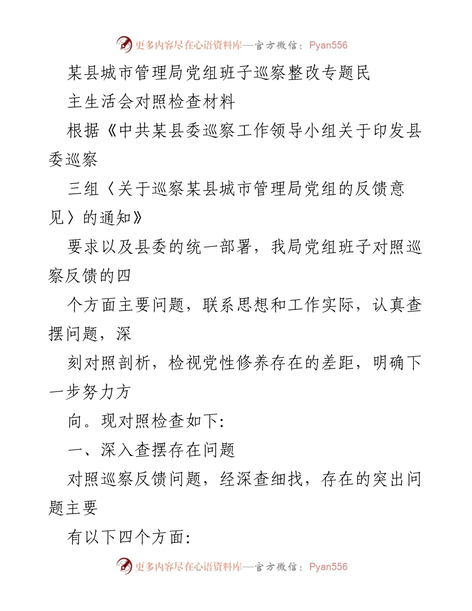 [发言] 民主生活会 - 城市管理局党组班子巡察整改对照检查总结.docx_第1页