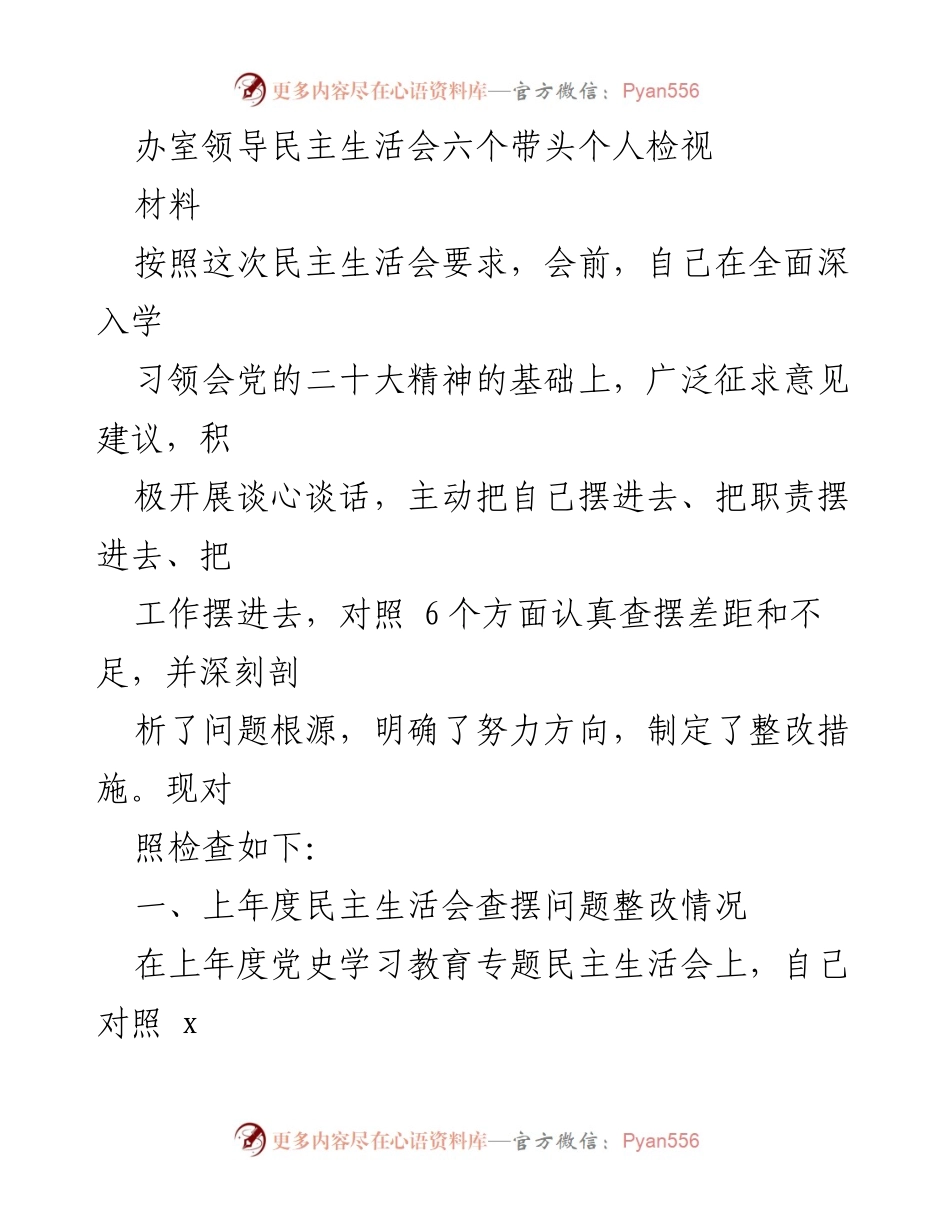 [发言] 民主生活会 - 办室领导个人检视与整改措施总结.docx_第1页