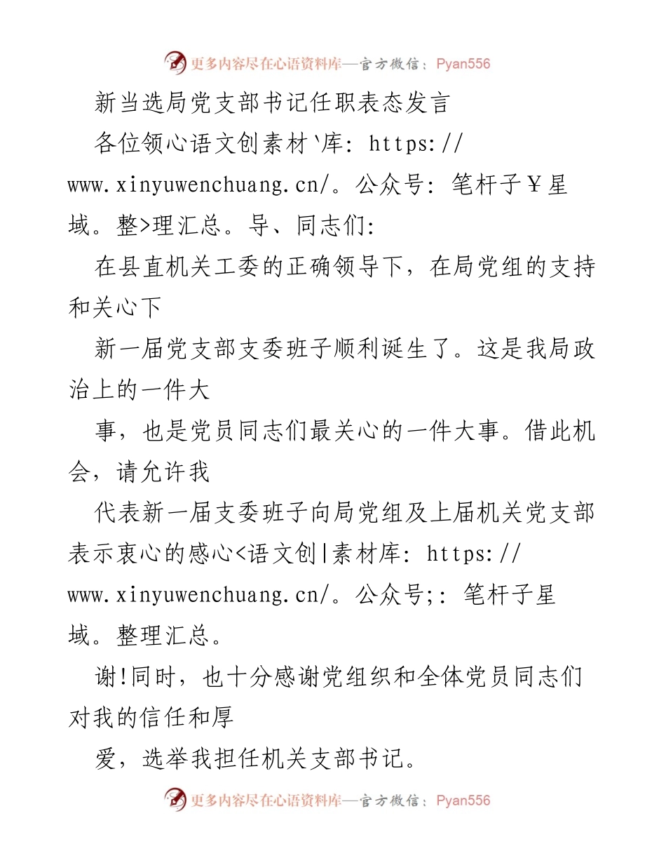 [发言] 新任党支部书记就职 - 新任党支部书记表态发言与工作承诺.docx_第1页