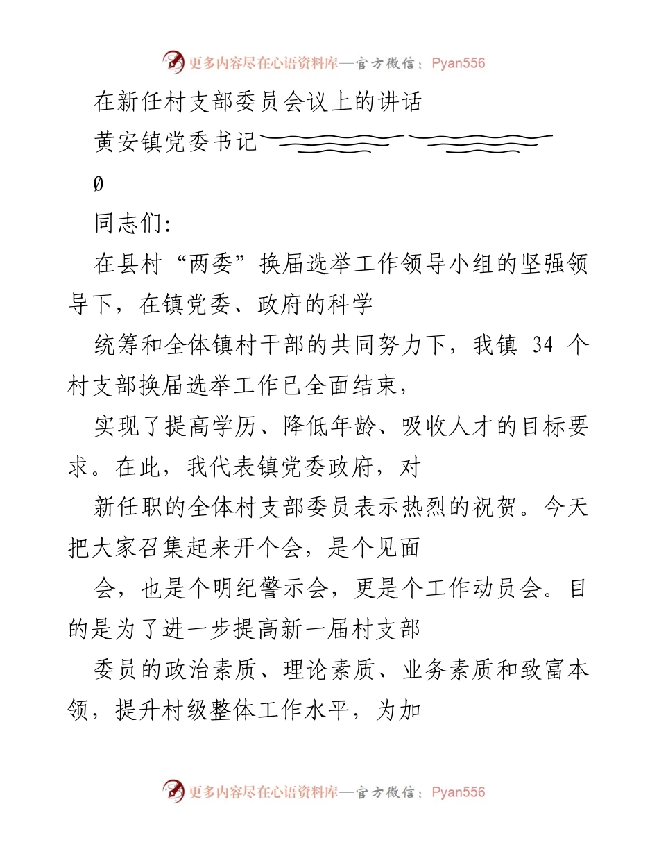 [发言] 新任村支部委员会议 - 提高政治素质，推动村级发展.docx_第1页