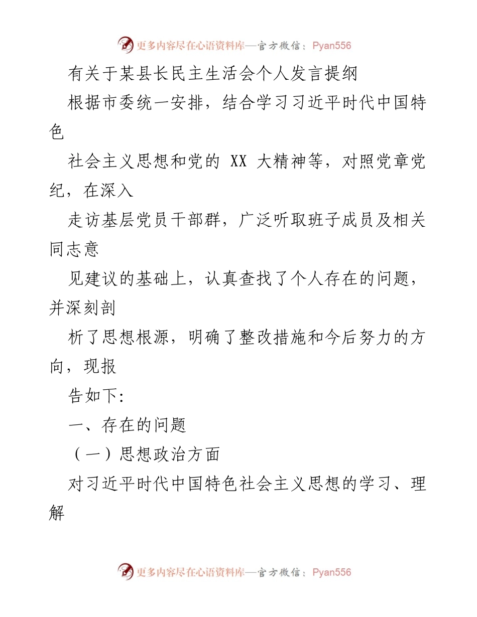 [发言] 民主生活会 - 某县长个人发言提纲分析与整改措施.docx_第1页