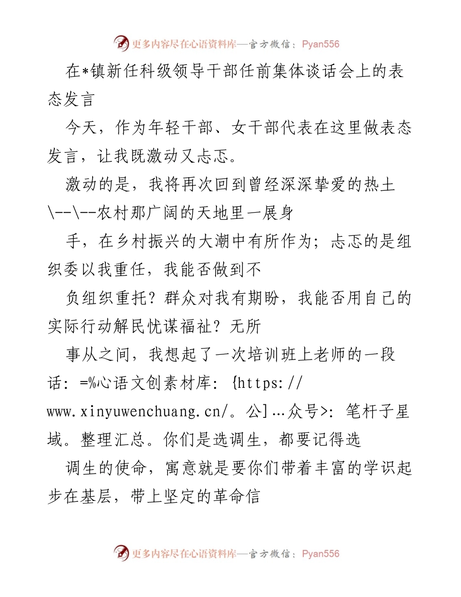 [发言] 新任科级领导干部任前集体谈话会 - 青春奋斗，忠诚担当：在新起点上的表态发言.docx_第1页