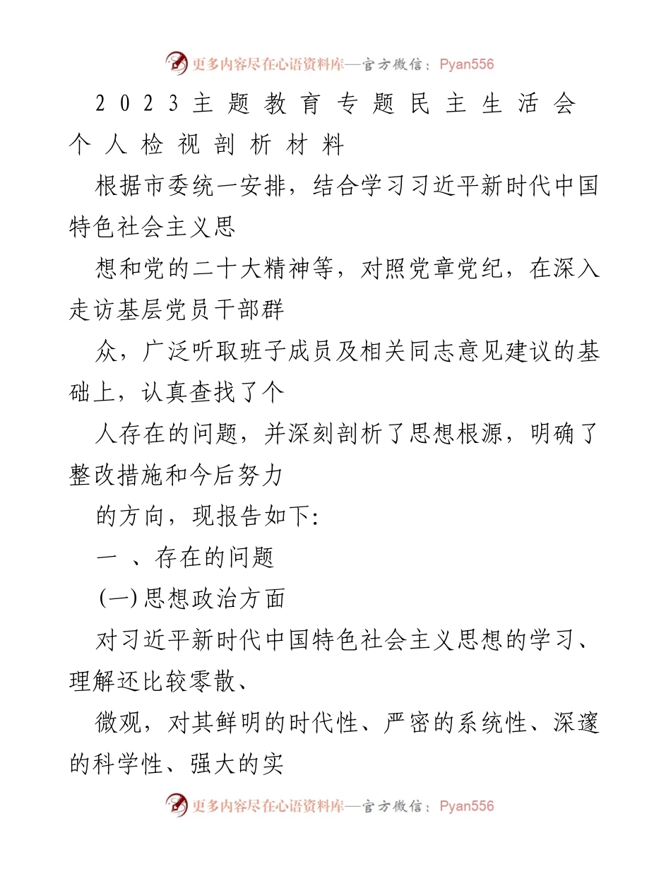 [发言] 民主生活会 - 个人检视与整改措施分析报告.docx_第1页