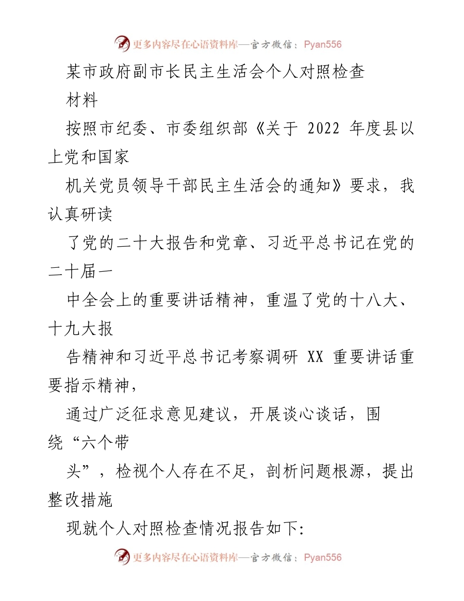 [发言] 民主生活会 - 副市长个人对照检查及整改措施报告.docx_第1页