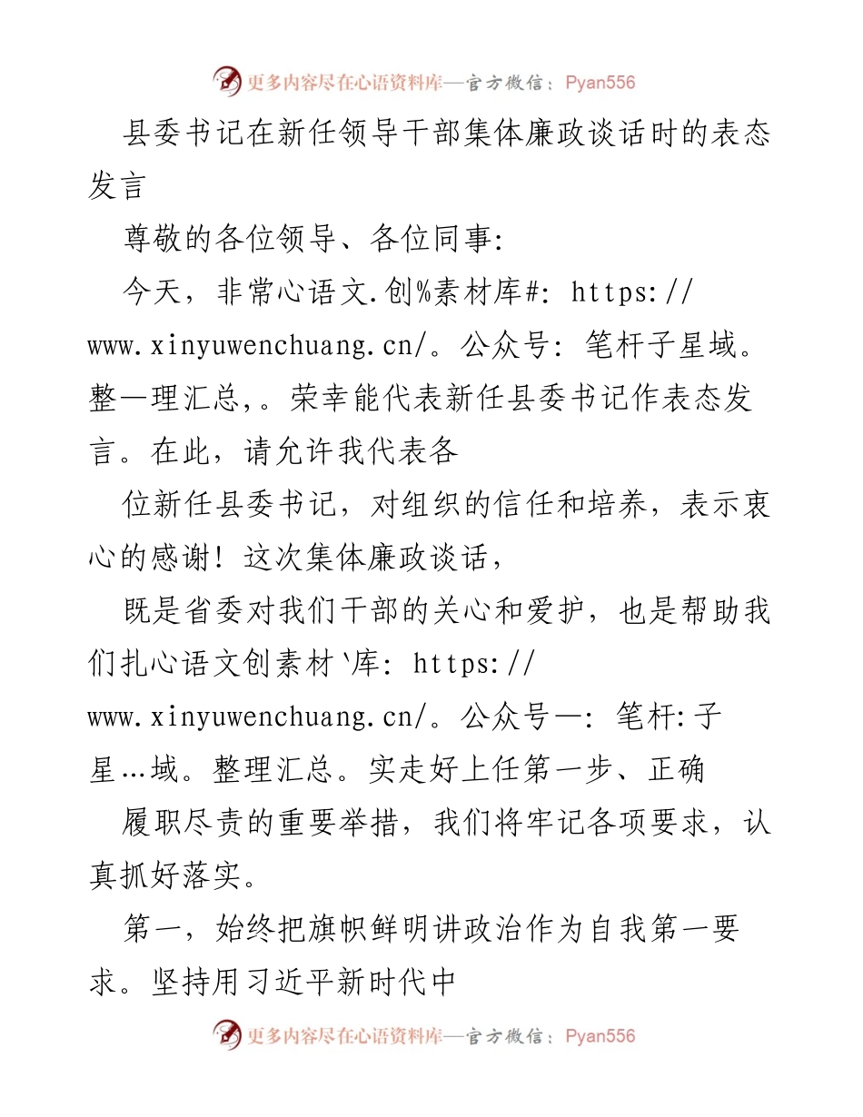 [发言] 新任领导干部集体廉政谈话 - 新任县委书记的廉政承诺与责任担当.docx_第1页
