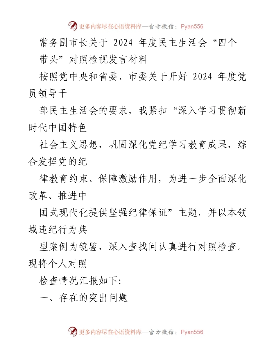 [发言] 民主生活会 - 常务副市长2024年度民主生活会对照检视发言材料.docx_第1页