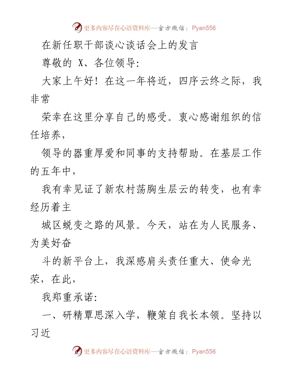 [发言] 新任职干部谈心谈话会 - 新任职干部的责任与使命宣言.docx_第1页