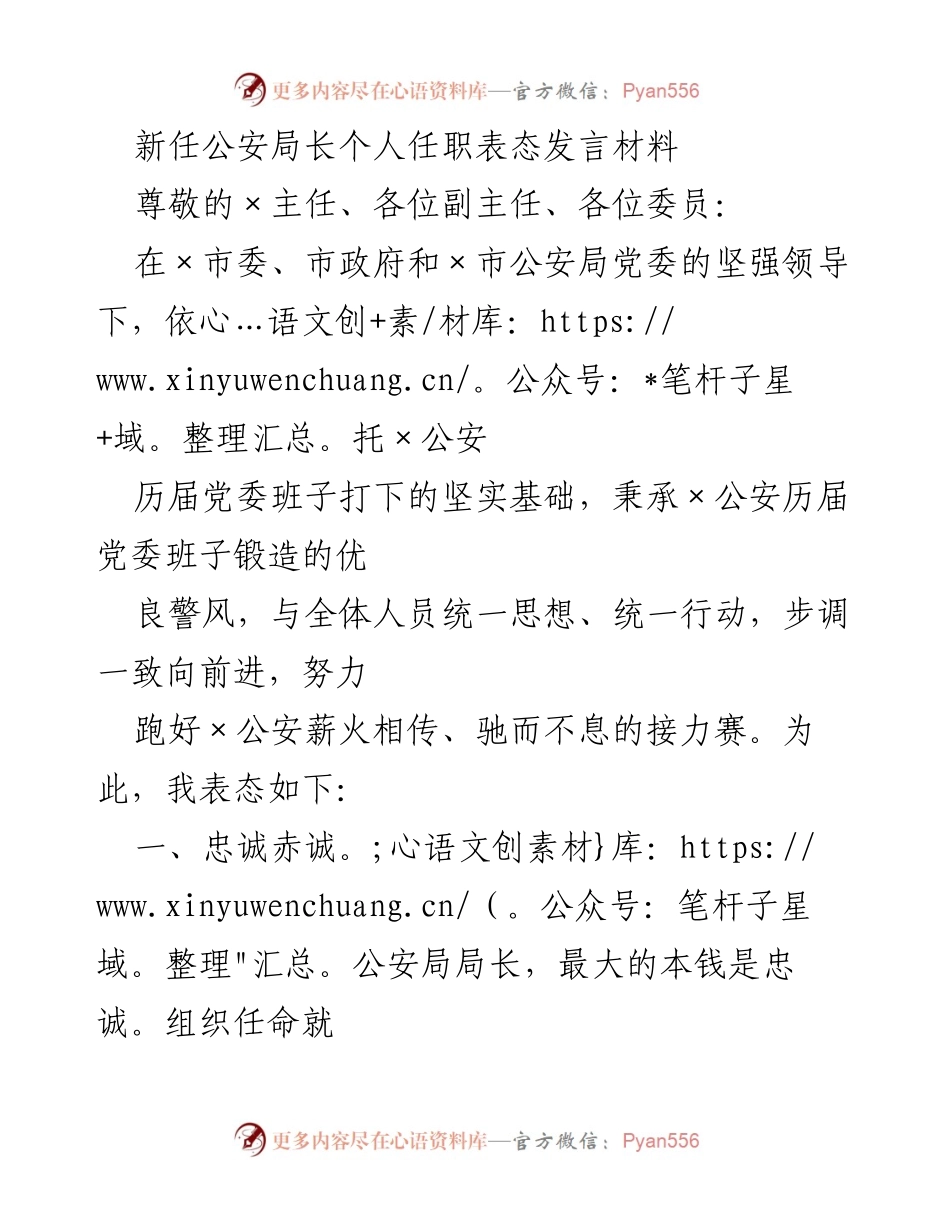 [发言] 新任公安局长就职 - 新任公安局长表态发言：忠诚担当，清正廉洁.docx_第1页