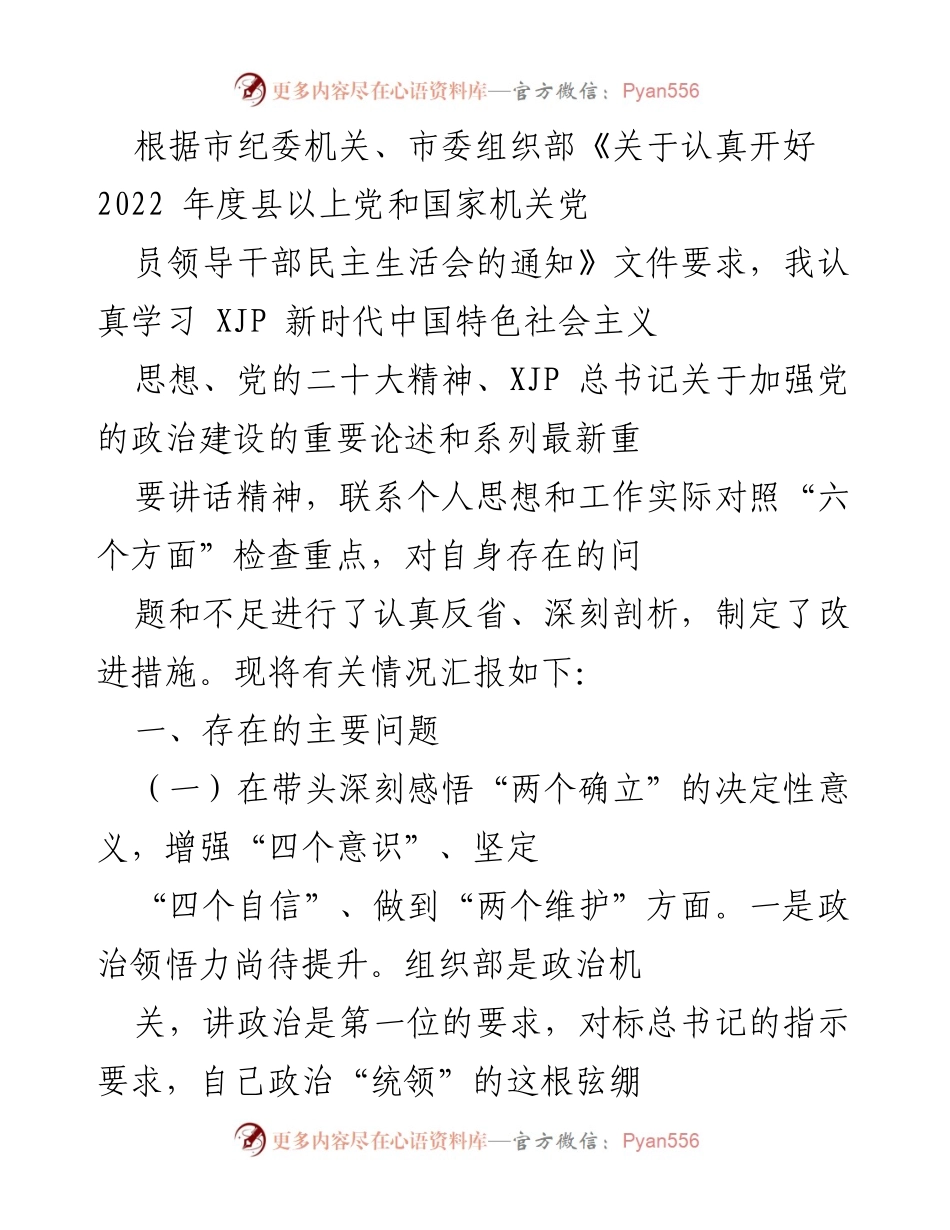 [发言] 民主生活会 - 2022年度党员领导干部民主生活会个人反省与改进措施汇报.docx_第1页