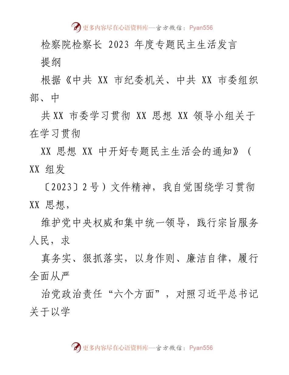 [发言] 检察院年度民主生活会 - 2023年度检察长专题民主生活发言总结.docx_第1页