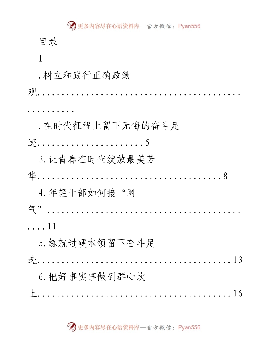 [发言] 树立正确政绩观，年轻干部的责任与使命.docx_第1页