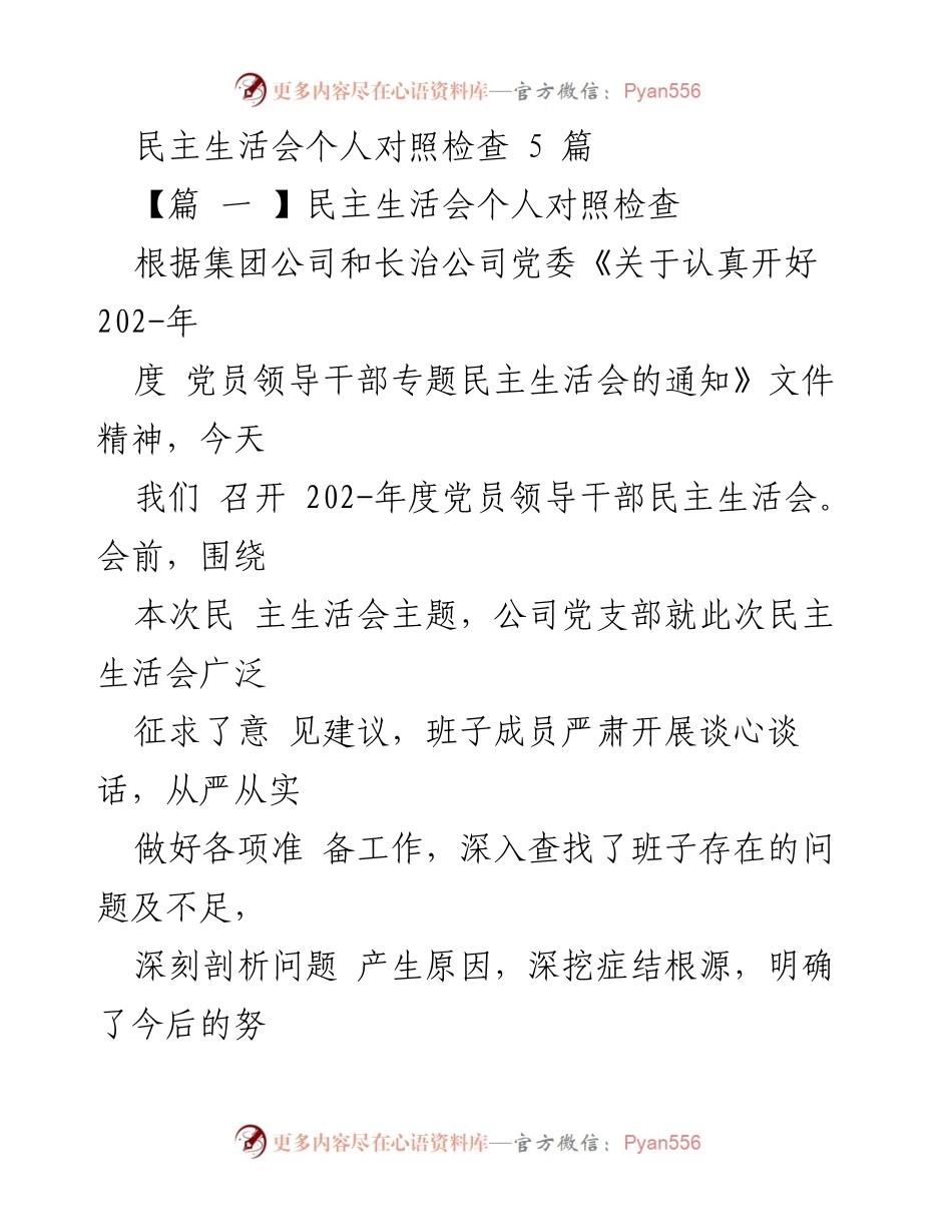 [发言] 民主生活会 - 202-年度党员领导干部民主生活会个人对照检查总结.docx_第1页