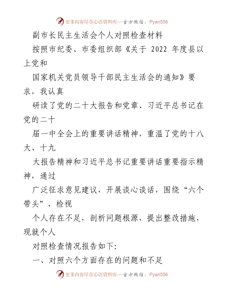 [发言] 民主生活会 - 副市长个人对照检查材料总结.docx_第1页