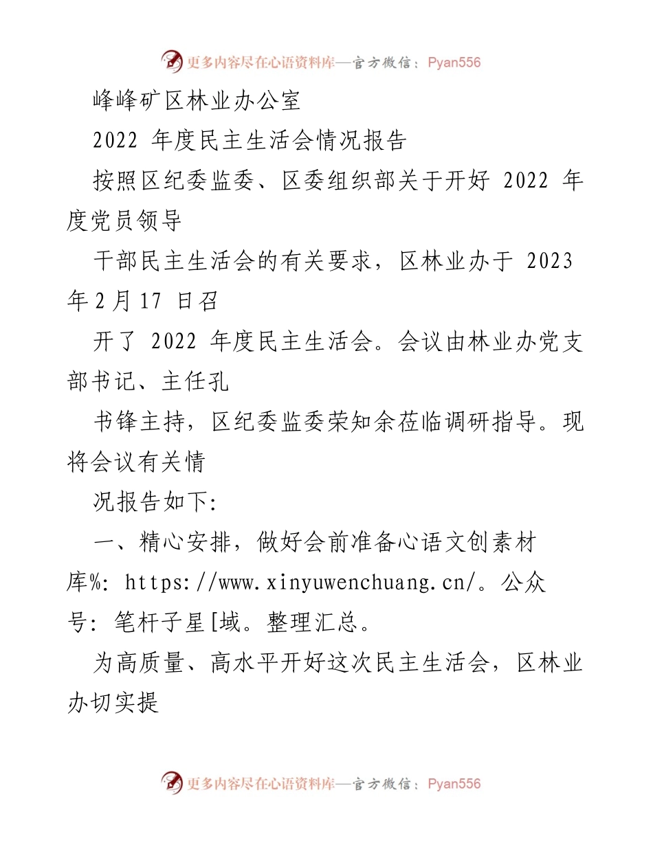 [发言] 民主生活会 - 2022年度民主生活会情况报告_1.docx_第1页