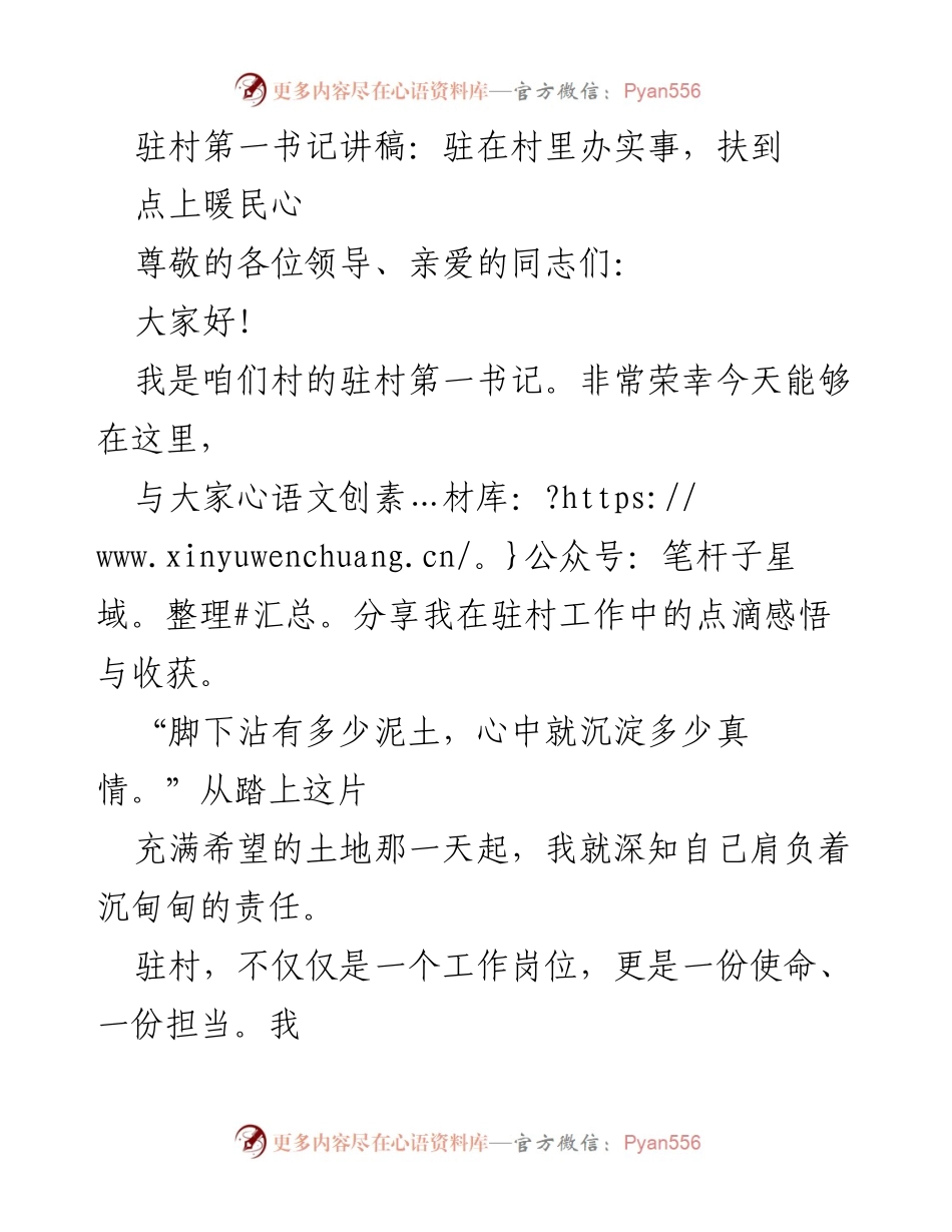 [发言] 村庄发展座谈会 - 驻村第一书记的实干与担当.docx_第1页