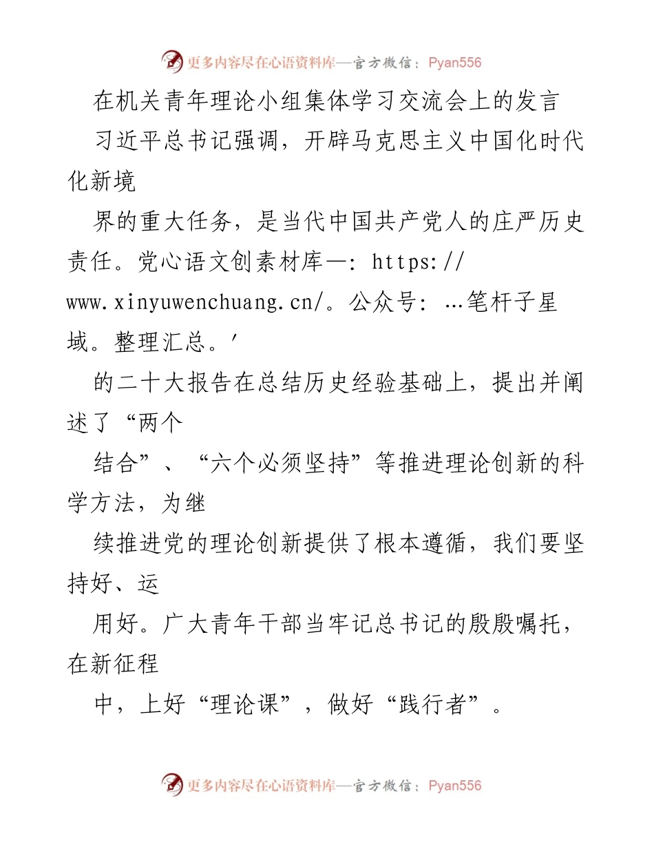 [发言] 机关青年理论小组集体学习交流会 - 青年干部的信念与担当：践行党的理论创新.docx_第1页