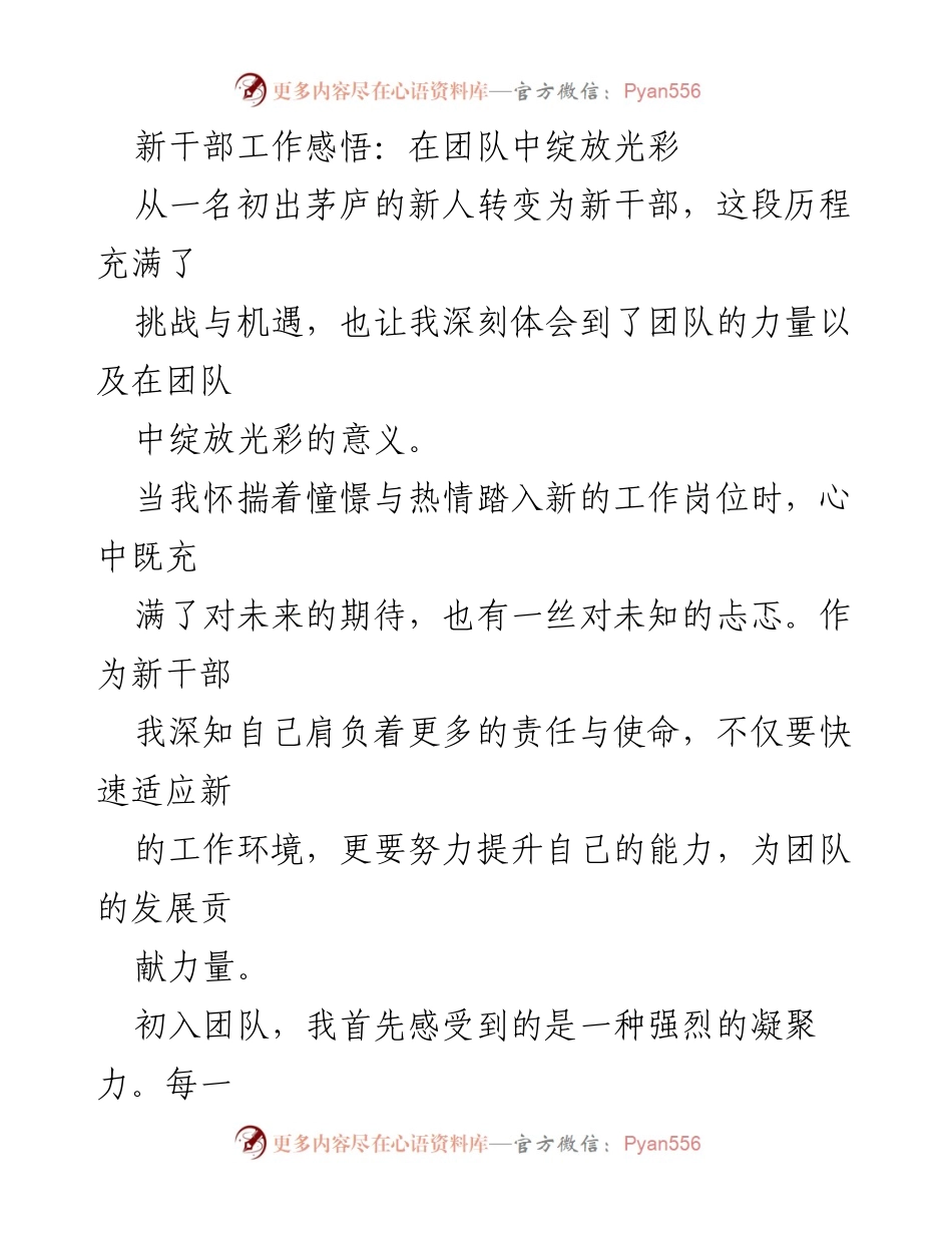 [发言] 新干部培训 - 新干部在团队中的成长与责任感.docx_第1页