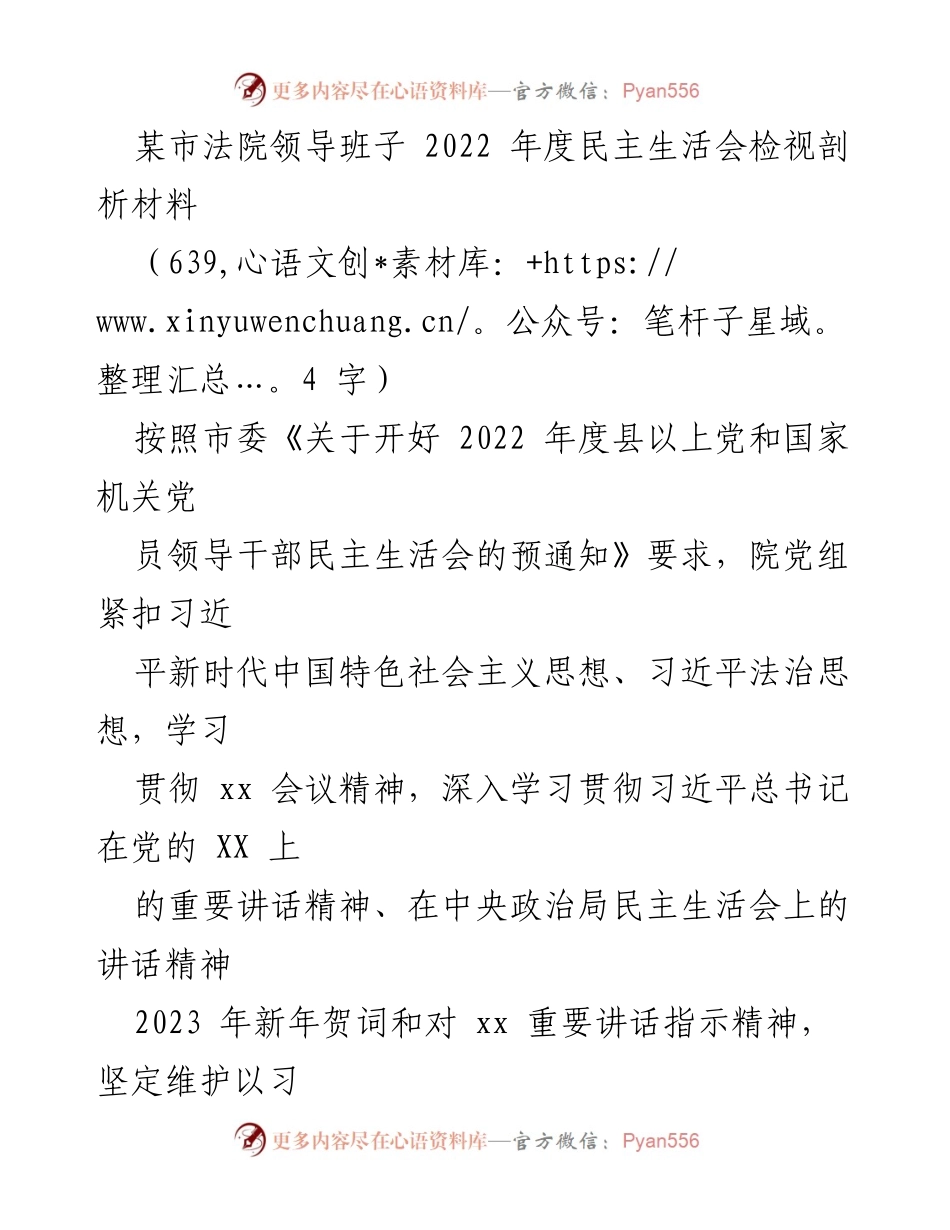 [发言] 民主生活会 - 某市法院2022年度民主生活会检视剖析总结.docx_第1页