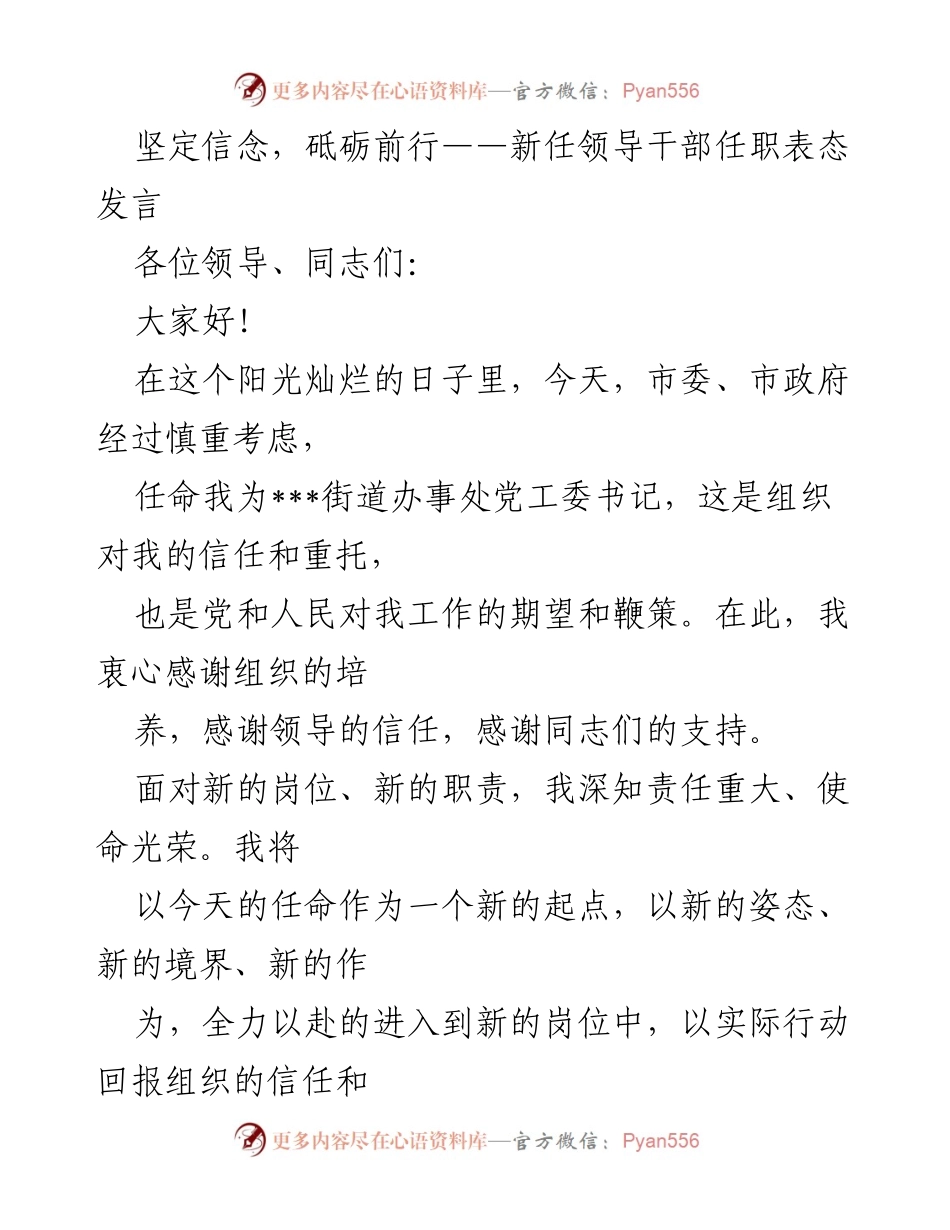 [发言] 新任领导干部任职表态 - 坚定信念，砥砺前行：新任党工委书记的责任与承诺.docx_第1页