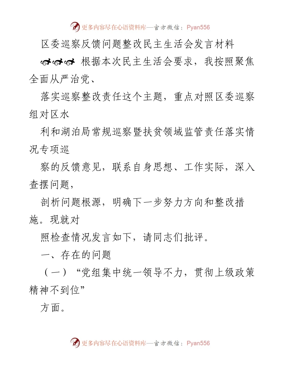 [发言] 民主生活会 - 巡察整改问题发言材料分析.docx_第1页