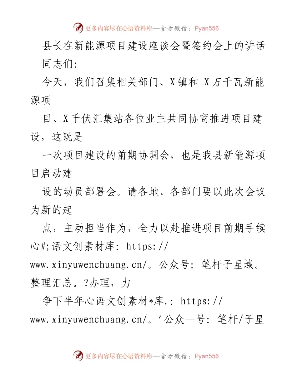 [发言] 新能源项目建设座谈会 - 加快新能源产业发展，助力经济高质量发展.docx_第1页