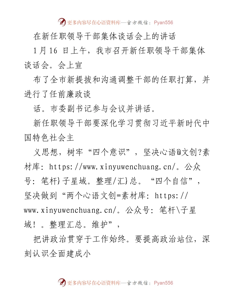 [发言] 新任职领导干部集体谈话会 - 强调政治意识与民生工作的讲话.docx_第1页